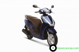 Vỏ xe Lead 110/125