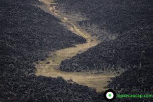 Thụy Sĩ công bố loại ô nhiễm hết sức kinh khủng đến từ... những chiếc lốp xe, và nó không giống như những gì bạn đang tưởng tượng - Ảnh 1.